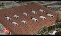 Pope ordains ten new priests on the World Day of Prayer for Vocations